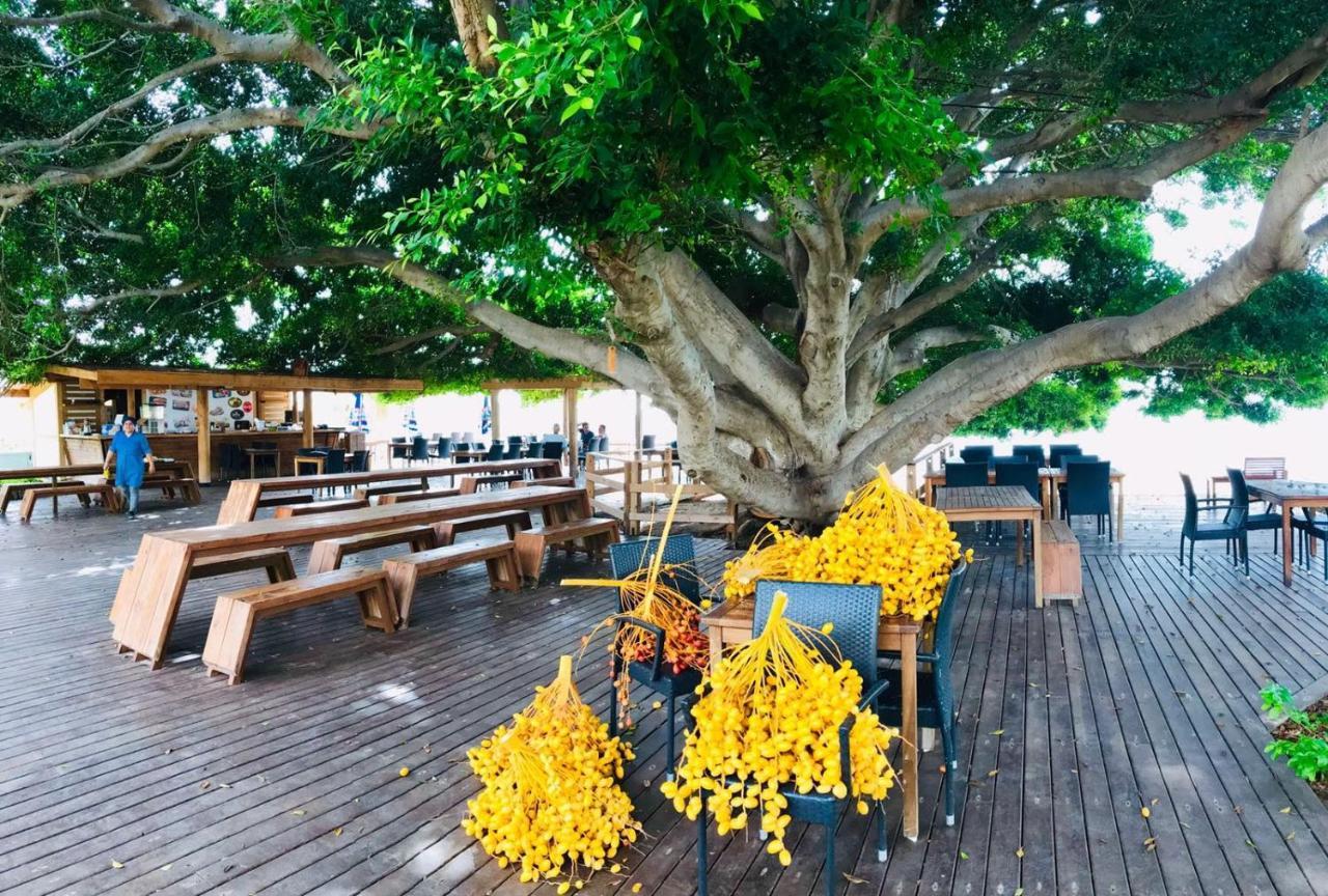 Marvel Tree Hotel Bozyazi Exterior photo