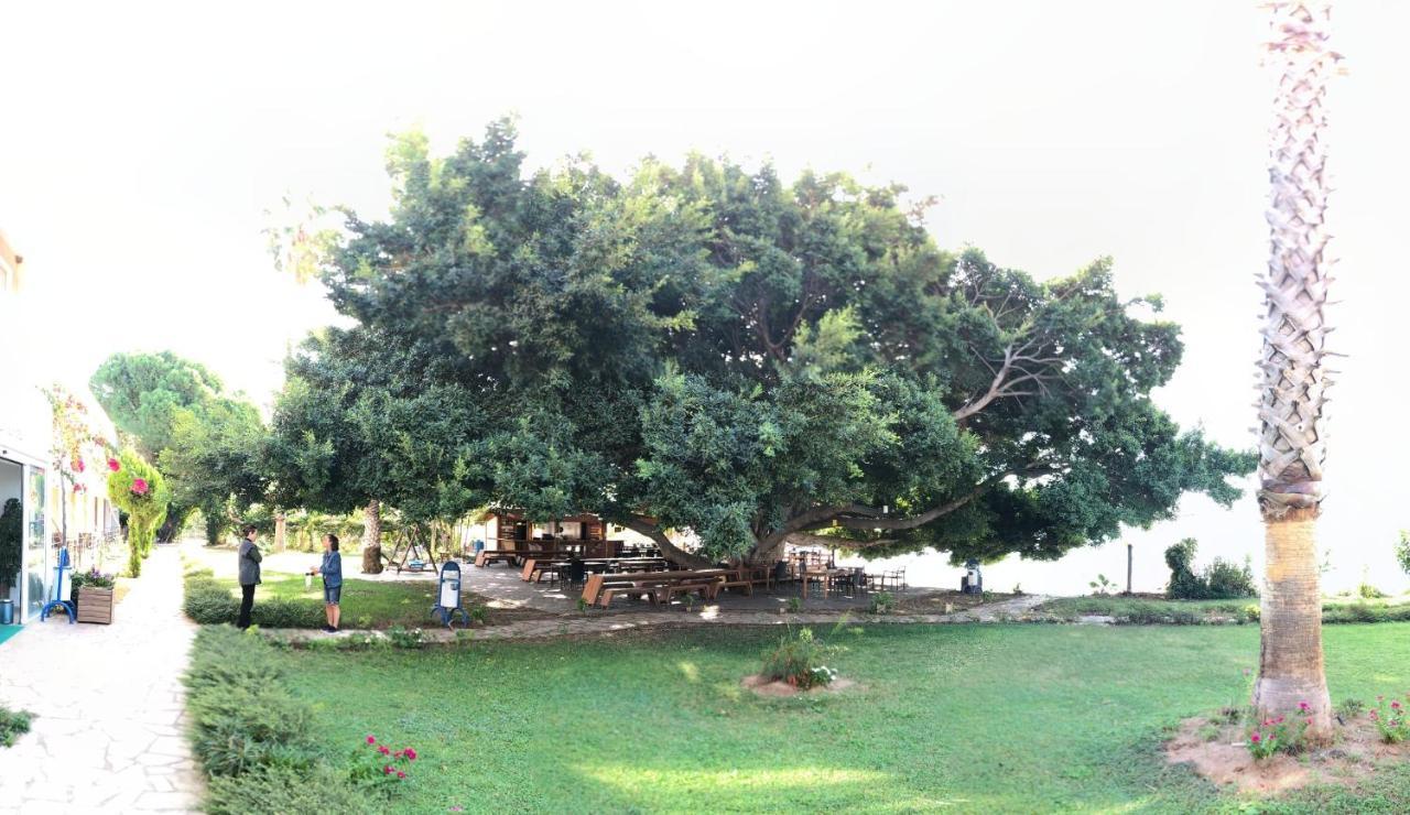 Marvel Tree Hotel Bozyazi Exterior photo